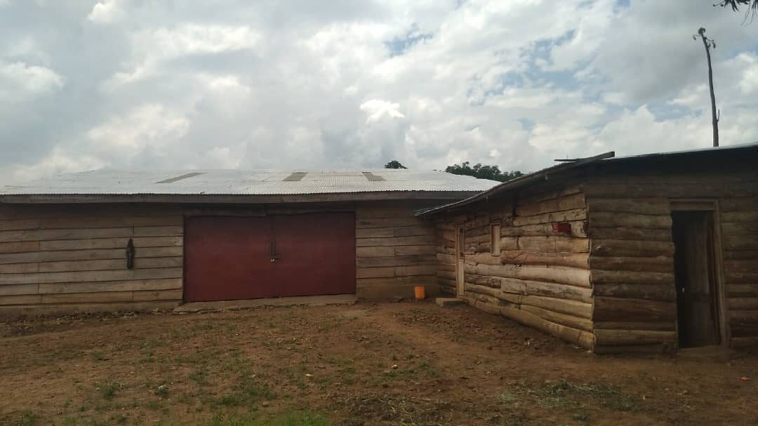 Entrepôts en bois à toit de tôle, avec large porte de chargement